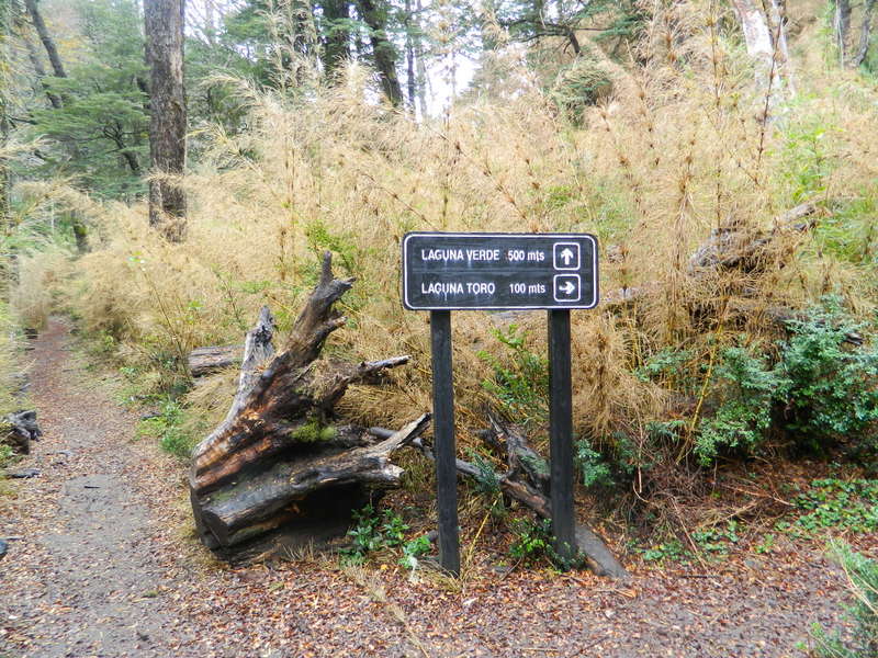 Foto: Pucon - Pucon (Araucanía), Chile