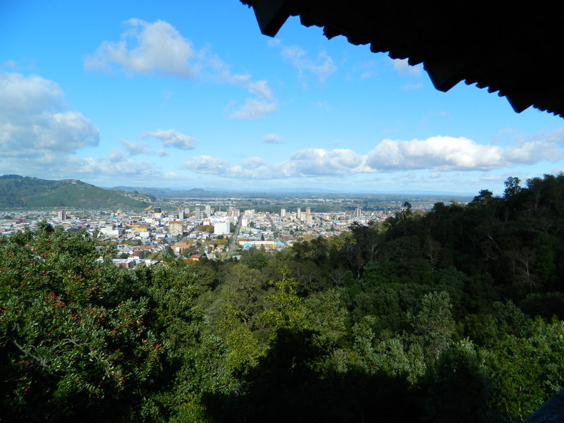 Foto: Temuco - Temuco (Araucanía), Chile