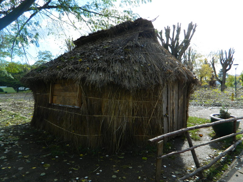 Foto: Temuco - Temuco (Araucanía), Chile