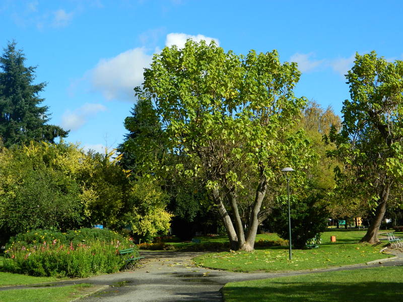 Foto: Temuco - Temuco (Araucanía), Chile