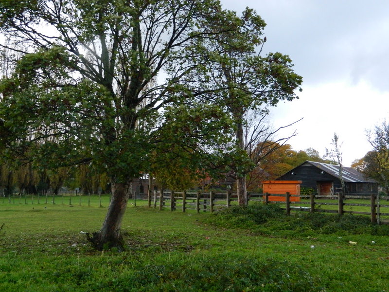 Foto: Pucon - Pucon (Araucanía), Chile