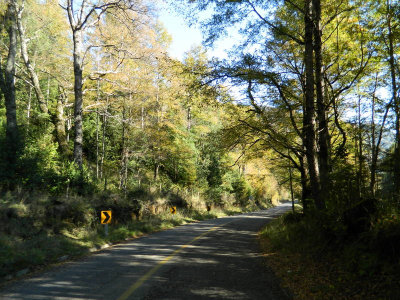 Foto: Pucon - Pucon (Araucanía), Chile