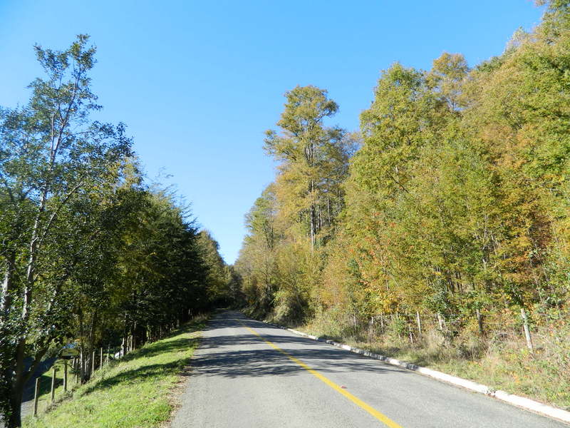 Foto: Pucon - Pucon (Araucanía), Chile