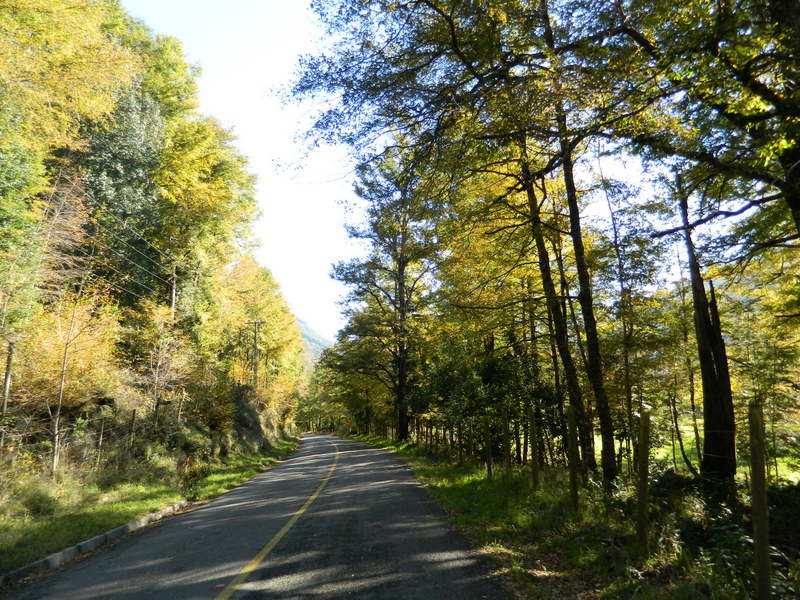 Foto: Pucon - Pucon (Araucanía), Chile