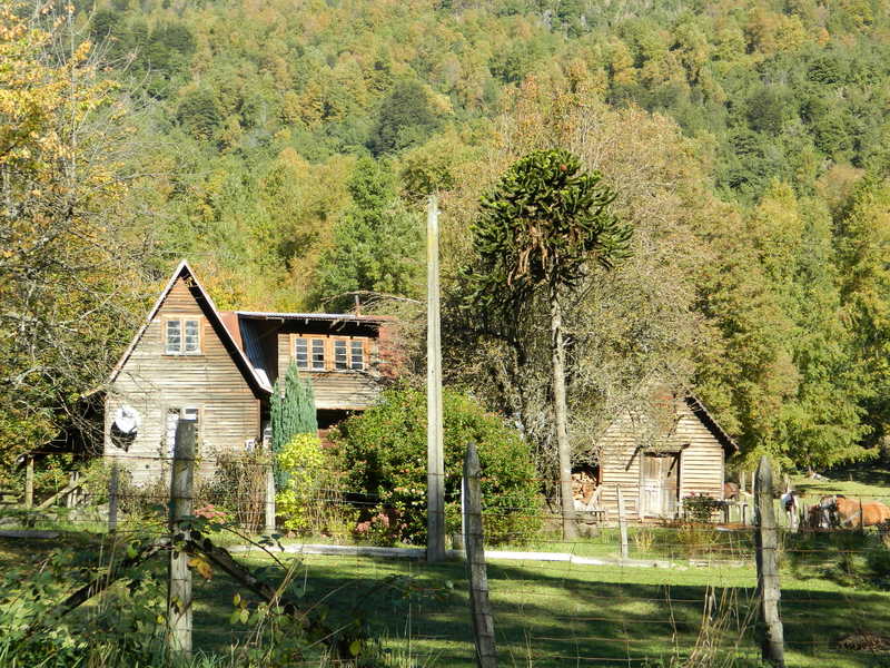 Foto: Pucon - Pucon (Araucanía), Chile