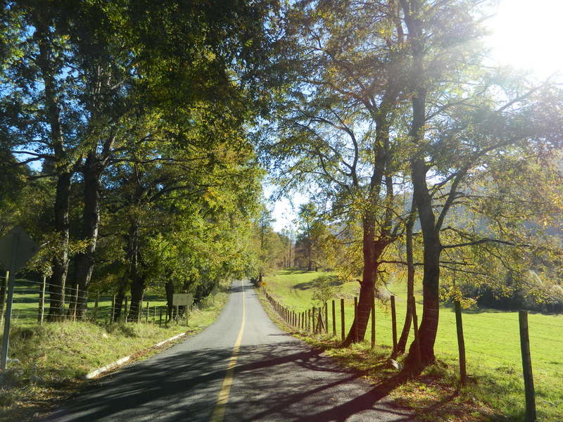 Foto: Pucon - Pucon (Araucanía), Chile