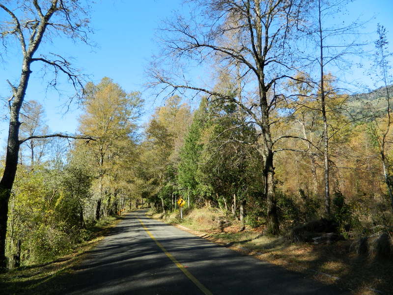 Foto: Pucon - Pucon (Araucanía), Chile