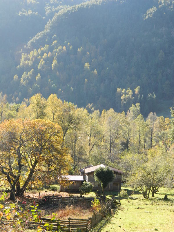 Foto: Pucon - Pucon (Araucanía), Chile