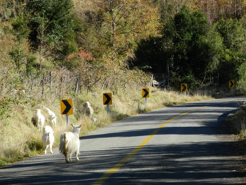 Foto: Pucon - Pucon (Araucanía), Chile