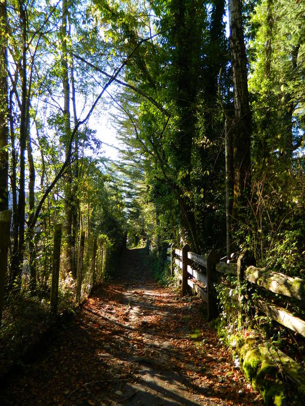 Foto: Pucon - Pucon (Araucanía), Chile