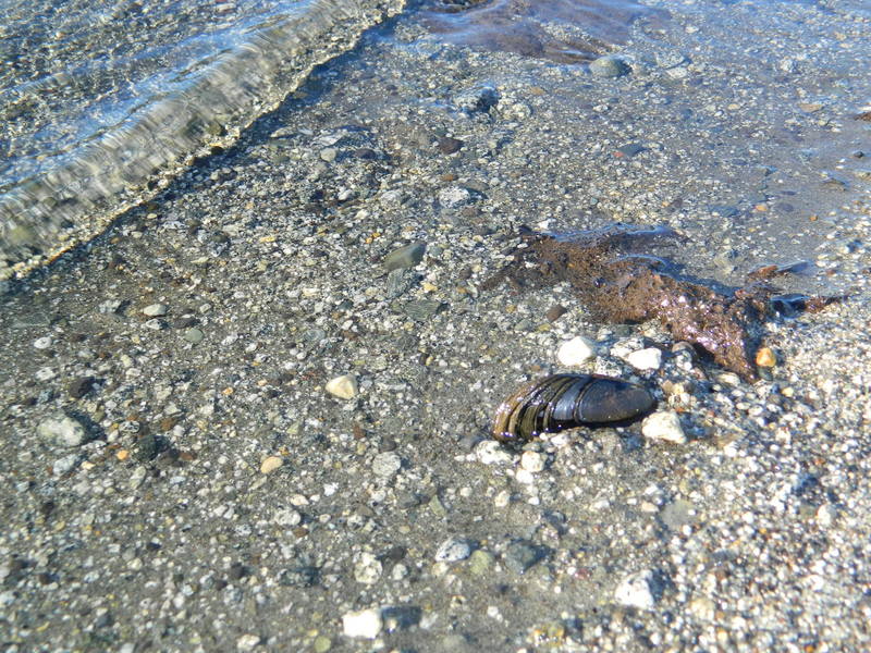 Foto: Pucon - Pucon (Araucanía), Chile