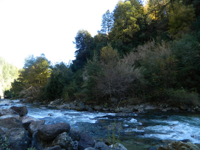 Foto: Pucon - Pucon (Araucanía), Chile