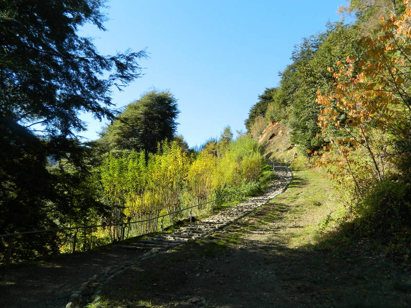 Foto: Pucon - Pucon (Araucanía), Chile