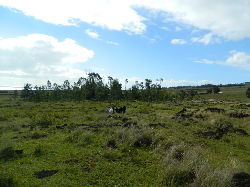 Foto: Isla De Pascua - Hanga Roa (Valparaíso), Chile