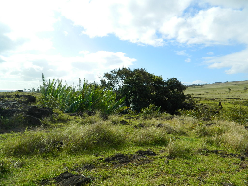 Foto: Isla De Pascua - Hanga Roa (Valparaíso), Chile