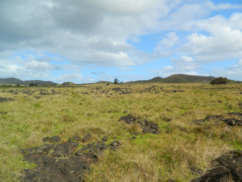 Foto: Isla De Pascua - Hanga Roa (Valparaíso), Chile