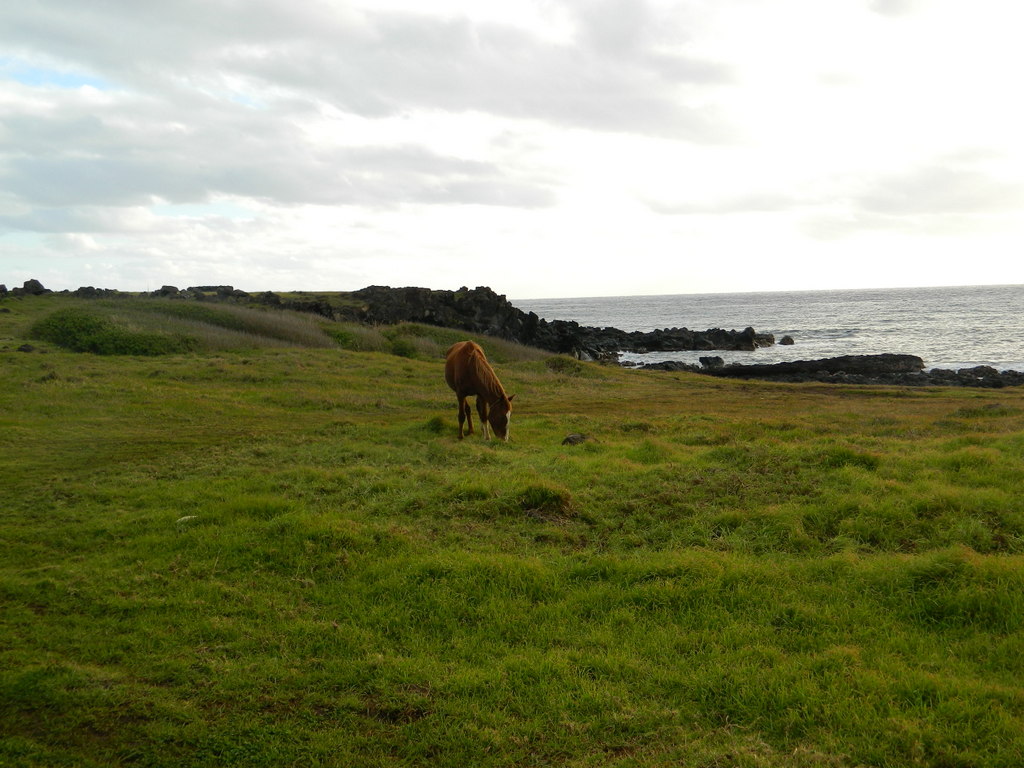 Foto: Isla De Pascua - Hanga Roa (Valparaíso), Chile