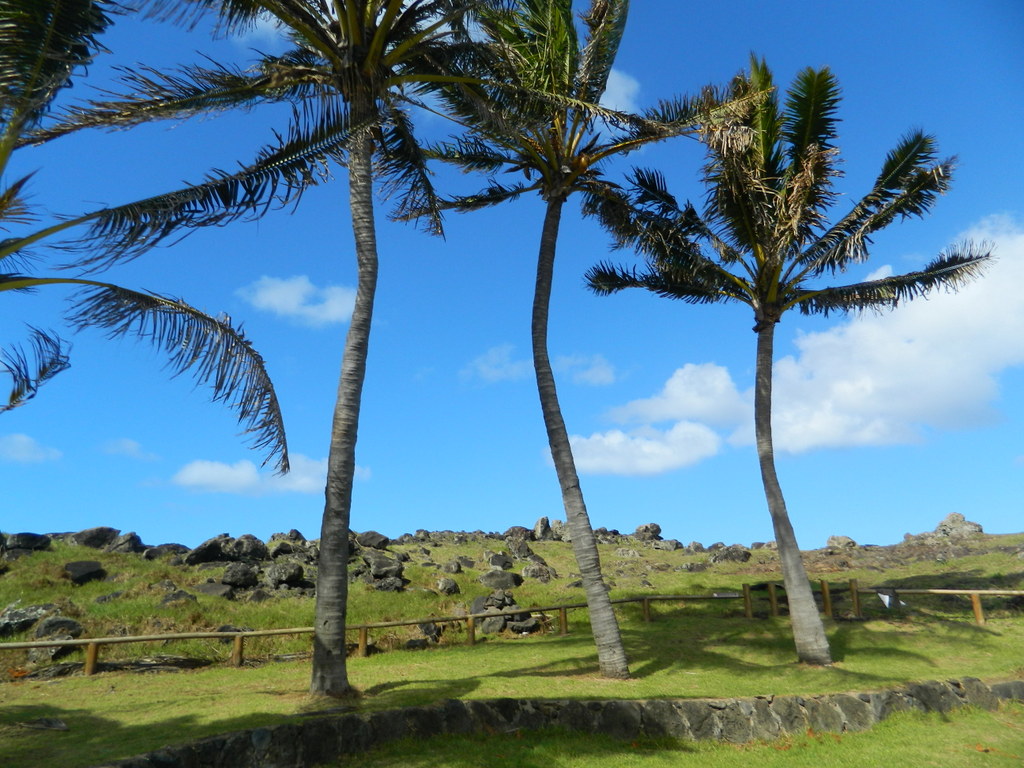 Foto: Isla De Pascua - Hanga Roa (Valparaíso), Chile