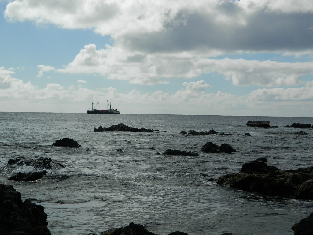 Foto: Isla De Pascua - Hanga Roa (Valparaíso), Chile