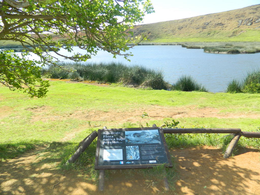 Foto: isla de pascua,tongariki - Hanga Roa (Valparaíso), Chile