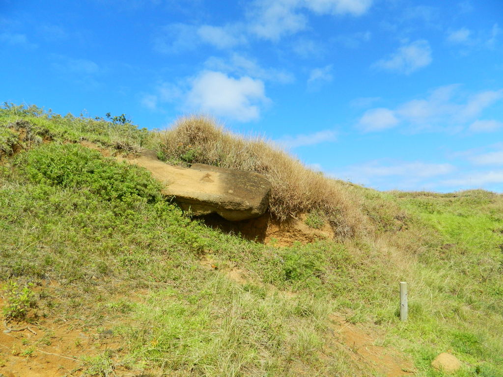 Foto: Isla De Pascua, Tongariki - Hanga Roa (Valparaíso), Chile