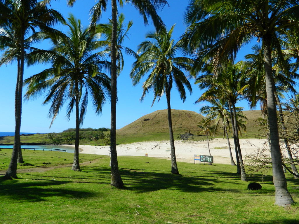 Foto: isla de pascua - Hanga Roa (Valparaíso), Chile