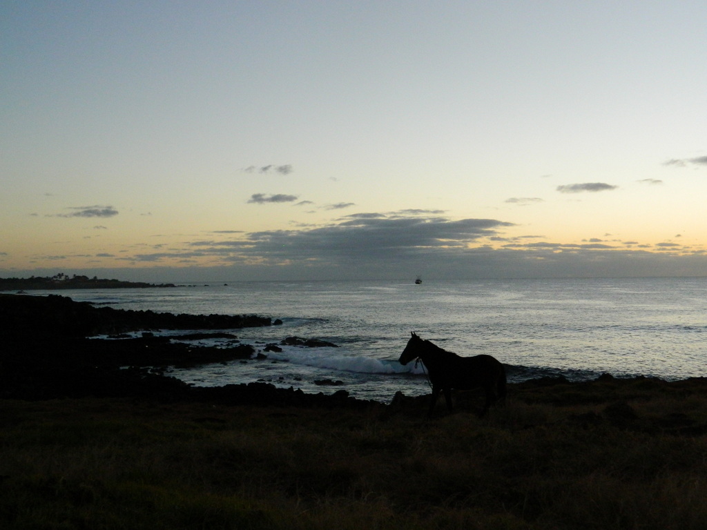 Foto: Isla De Pascua - Hanga Roa (Valparaíso), Chile