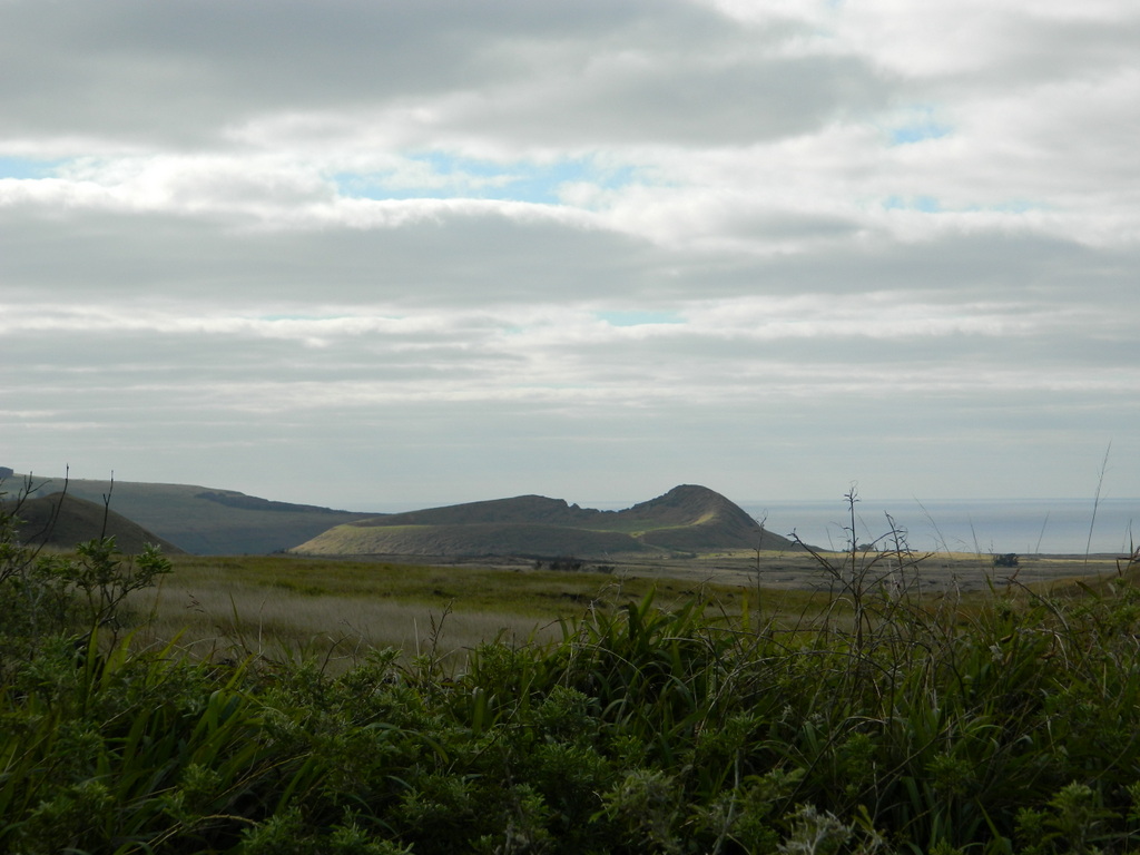 Foto: Isla De Pascua - Hanga Roa (Valparaíso), Chile