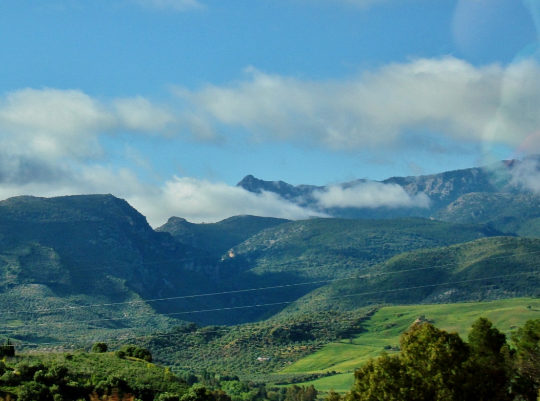 Foto: Vistas - Setenil de las Bodegas (Cádiz), España