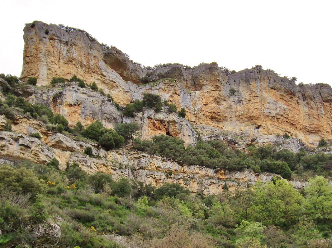 Foto: Vistas desde el pueblo - Valdelateja (Burgos), España