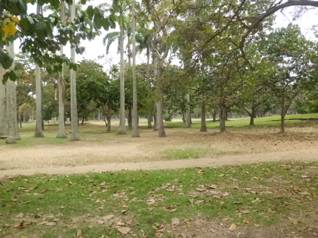 Foto: parques de venezuela - Caracas (Distrito Capital), Venezuela