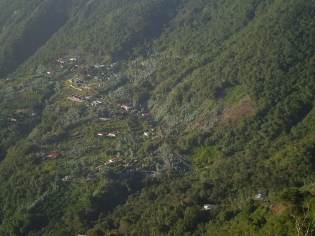 Foto: galipan - Caracas (Distrito Capital), Venezuela