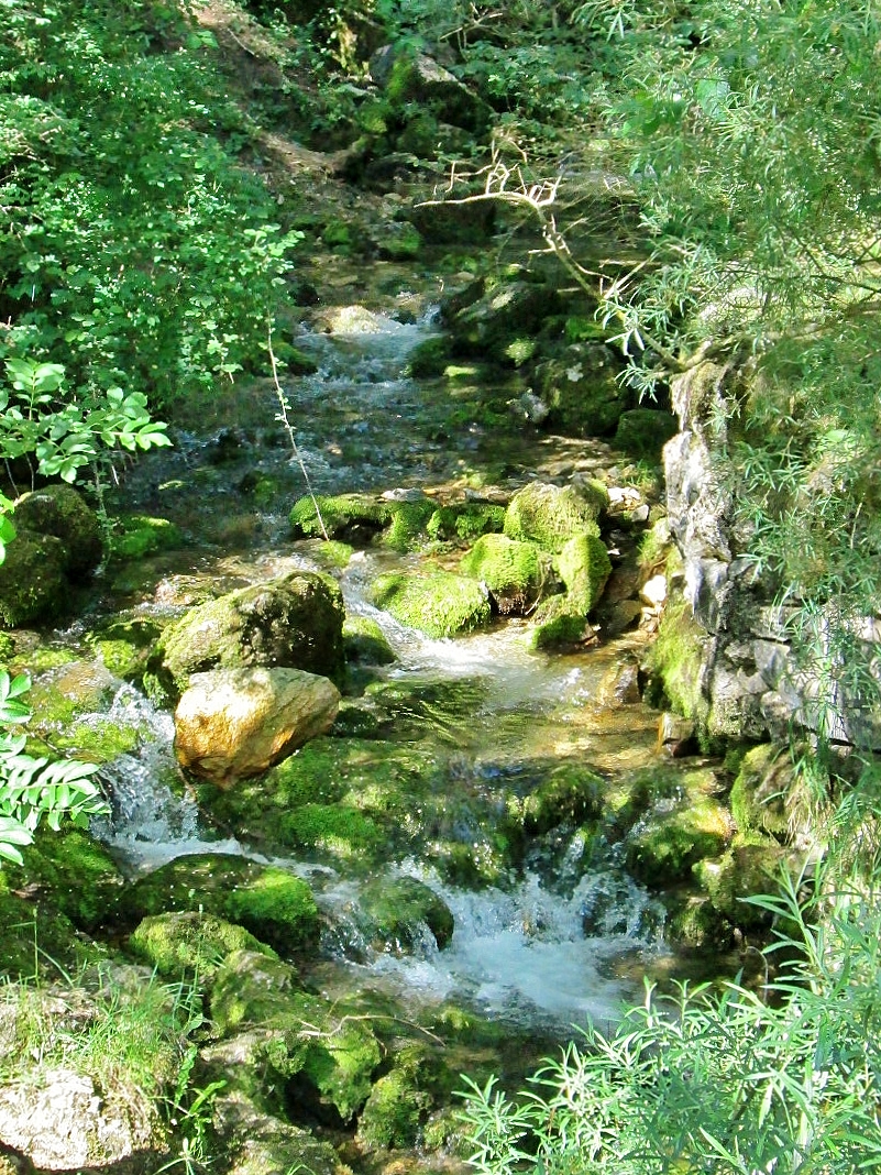 Foto: Nacimiento del rio Cardener - La Coma (Lleida), España