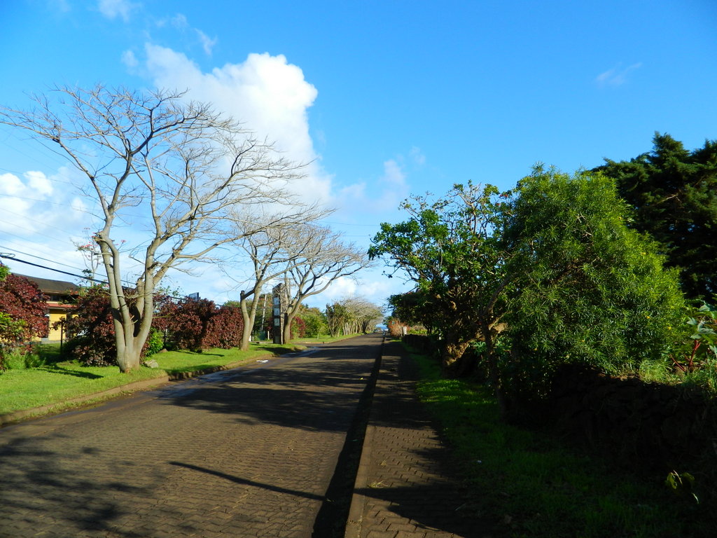 Foto: isla de pascua - Hanga Roa (Valparaíso), Chile