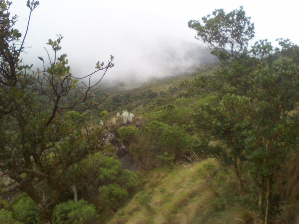 Foto de Carache (Trujillo), Venezuela