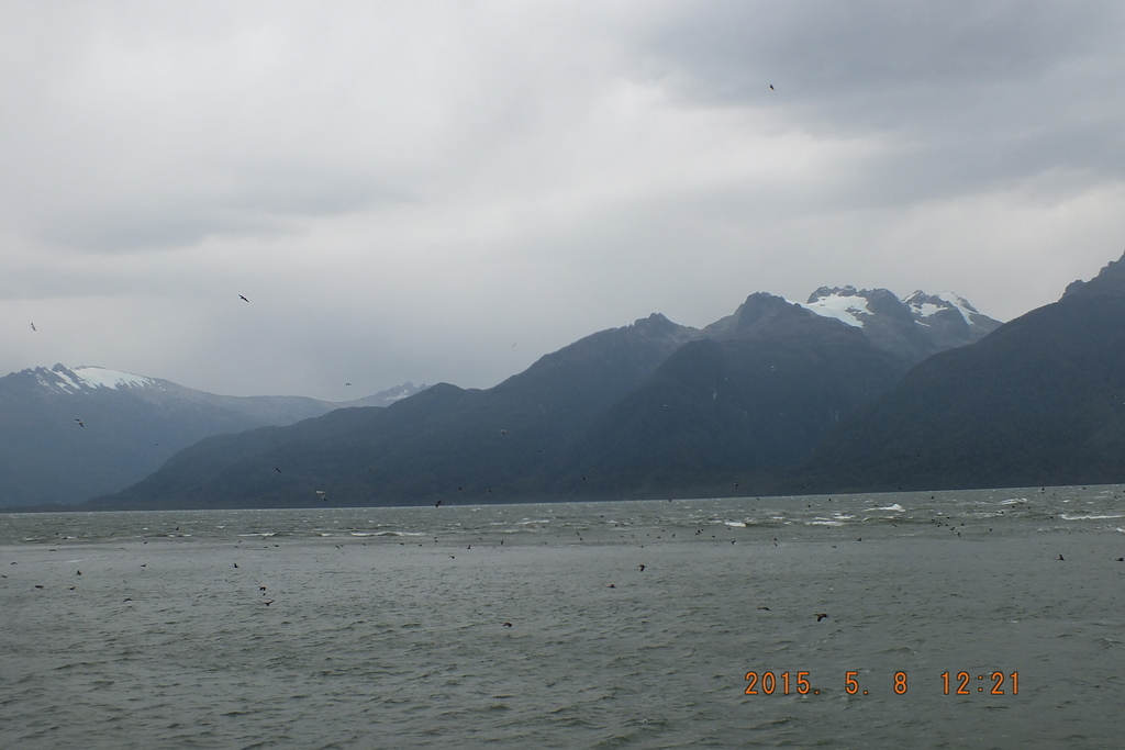 Foto: Canales Patagonicos - Aysen (Aisén del General Carlos Ibáñez del Campo), Chile