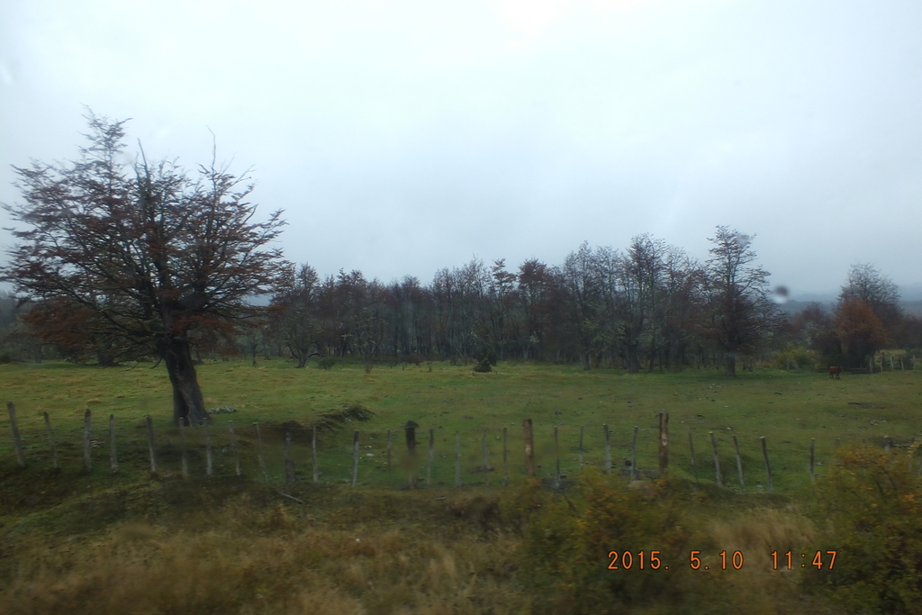 Foto: Coyhaique - Coyhaique (Aisén del General Carlos Ibáñez del Campo), Chile