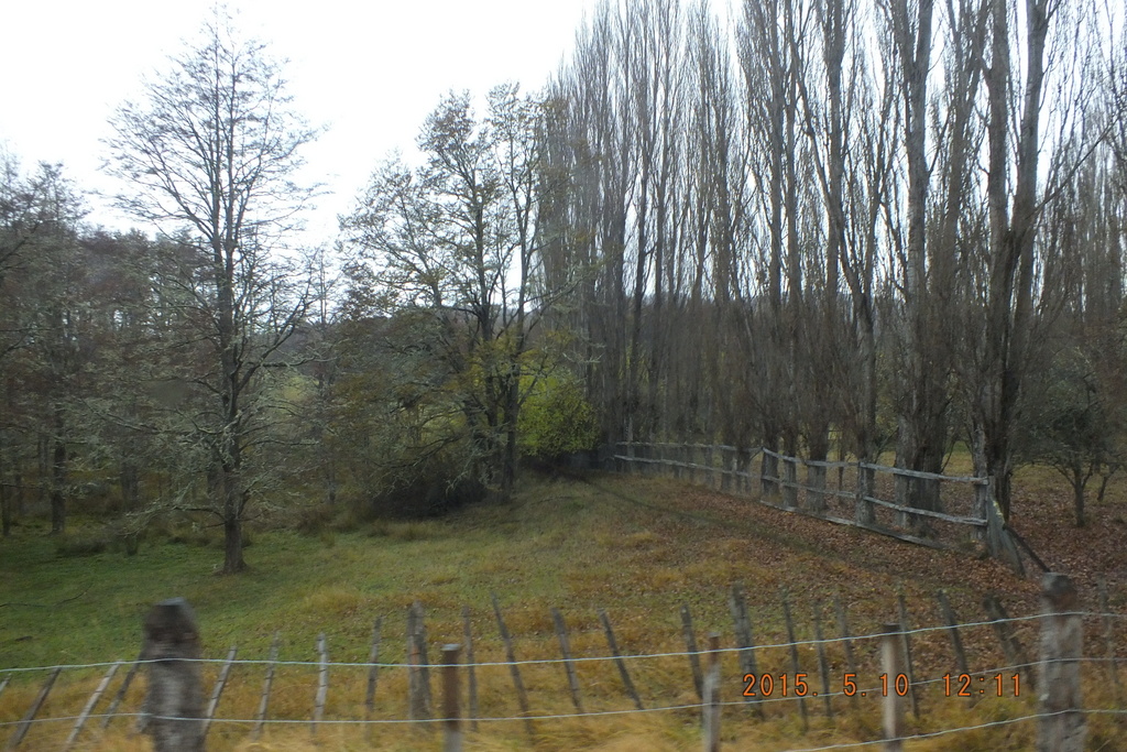 Foto: Coyhaique - Coyhaique (Aisén del General Carlos Ibáñez del Campo), Chile