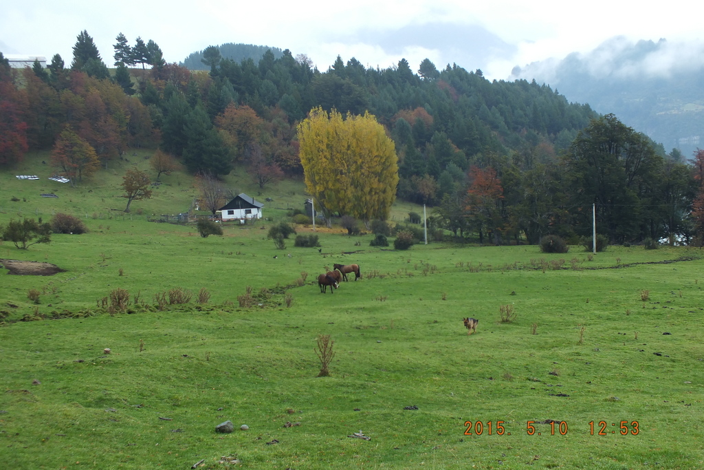 Foto: Coyhaique - Coyhaique (Aisén del General Carlos Ibáñez del Campo), Chile