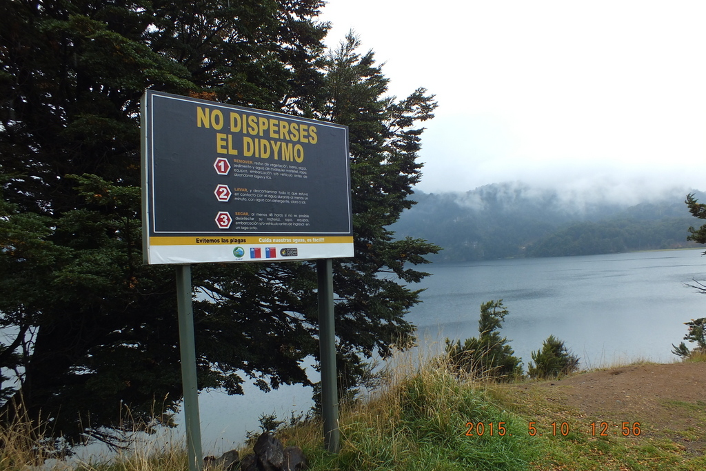 Foto: Coyhaique - Coyhaique (Aisén del General Carlos Ibáñez del Campo), Chile