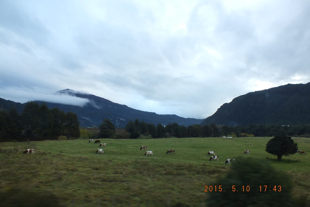 Foto: Carretera Austral - Aysen (Aisén del General Carlos Ibáñez del Campo), Chile