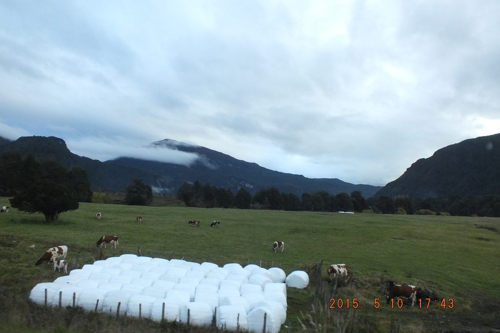 Foto: Carretera Austral - Aysen (Aisén del General Carlos Ibáñez del Campo), Chile