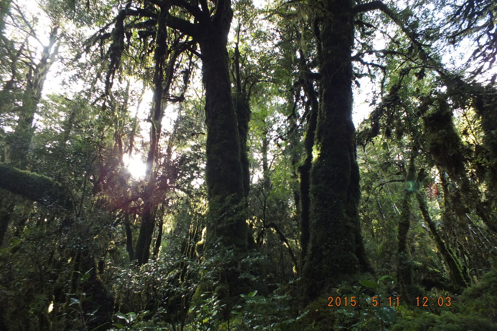 Foto: Carretera Austral - Aysen (Aisén del General Carlos Ibáñez del Campo), Chile