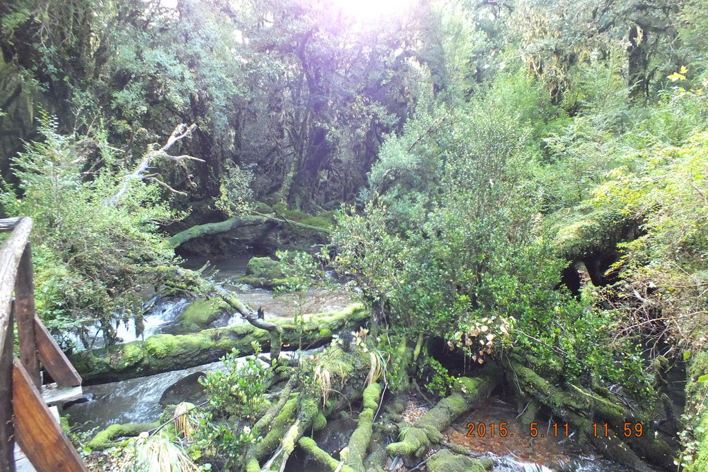 Foto: Carretera Austral - Aysen (Aisén del General Carlos Ibáñez del Campo), Chile