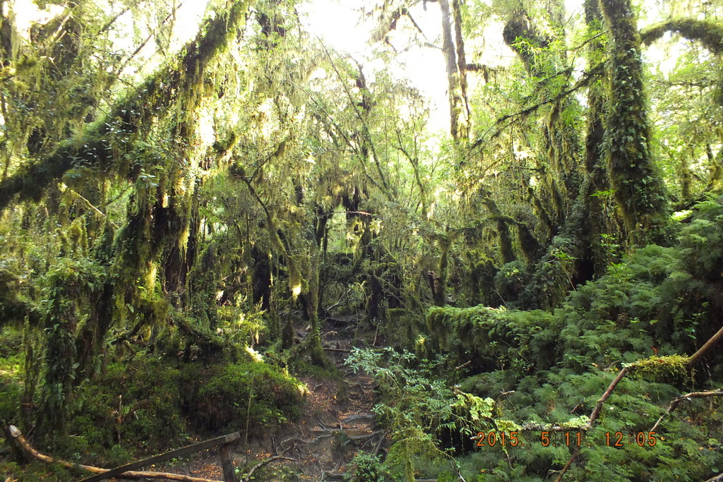 Foto: Carretera Austral - Aysen (Aisén del General Carlos Ibáñez del Campo), Chile