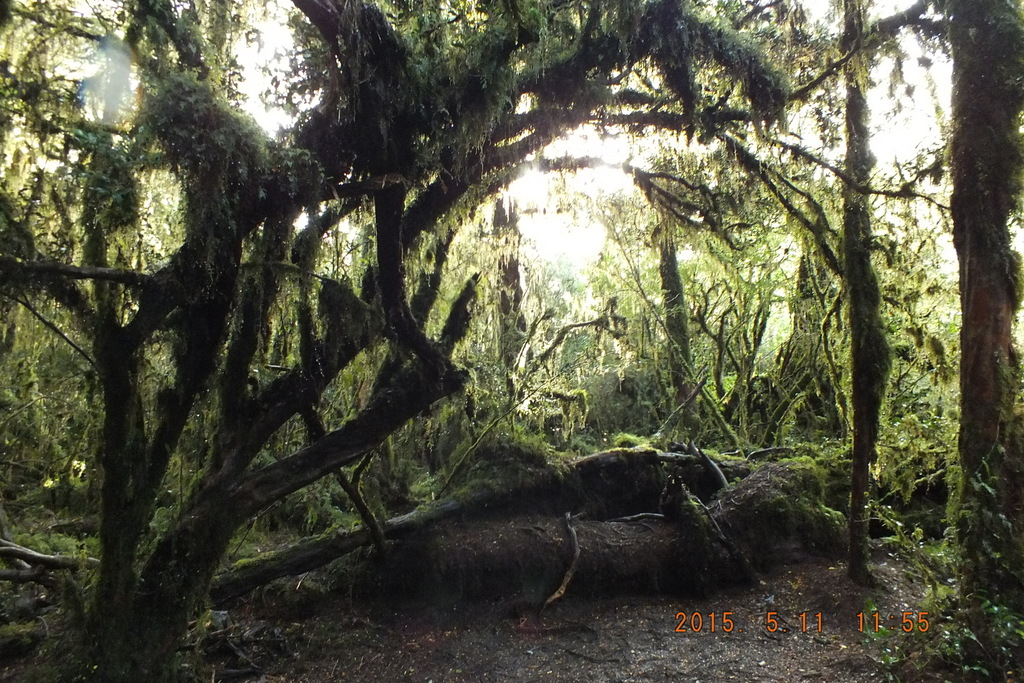 Foto: Carretera Austral - Aysen (Aisén del General Carlos Ibáñez del Campo), Chile