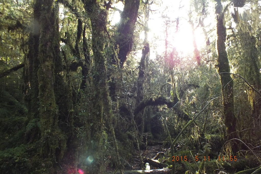 Foto: Carretera Austral - Aysen (Aisén del General Carlos Ibáñez del Campo), Chile