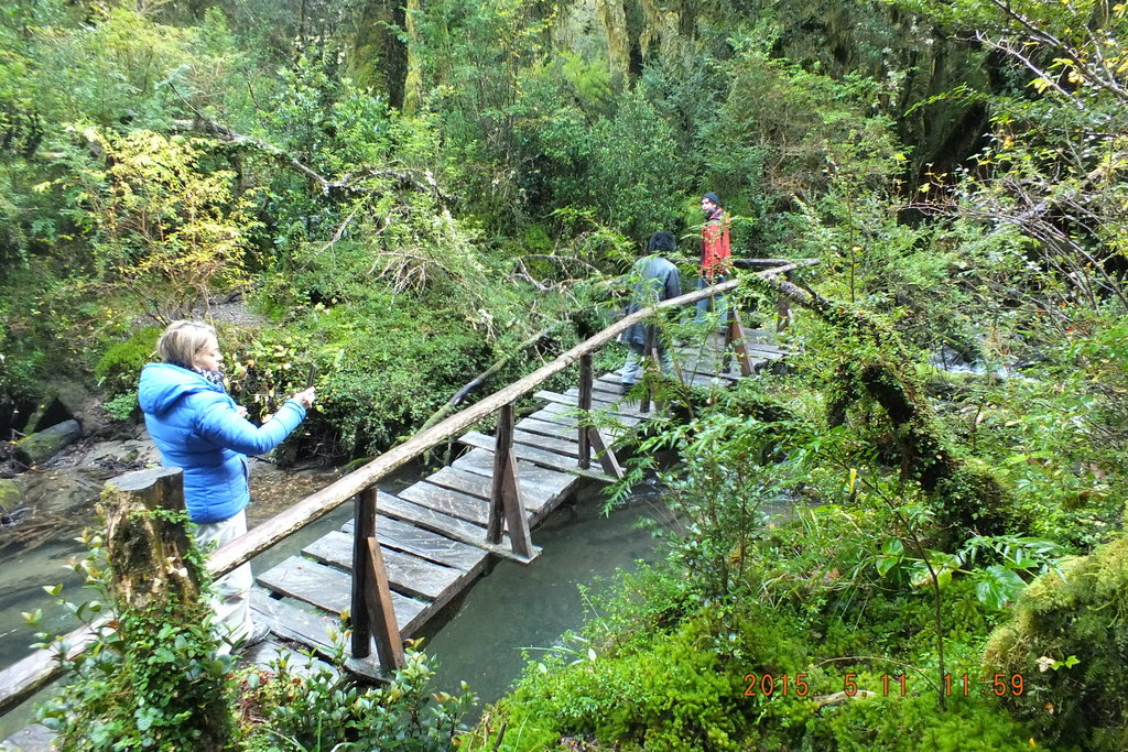 Foto: Carretera Austral - Aysen (Aisén del General Carlos Ibáñez del Campo), Chile