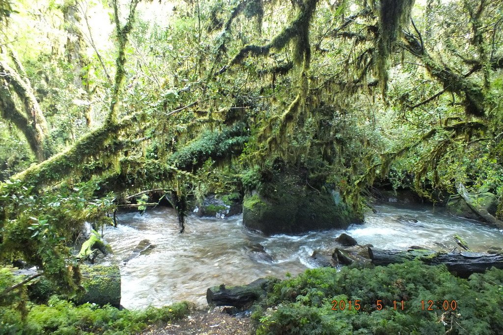 Foto: Carretera Austral - Aysen (Aisén del General Carlos Ibáñez del Campo), Chile