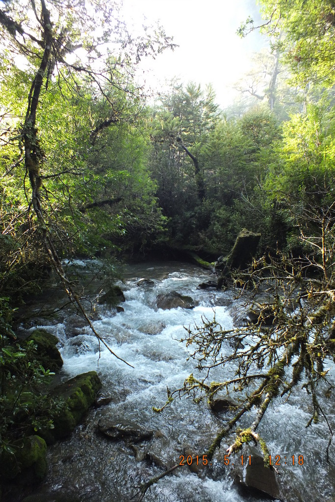 Foto: Carretera Austral - Aysen (Aisén del General Carlos Ibáñez del Campo), Chile